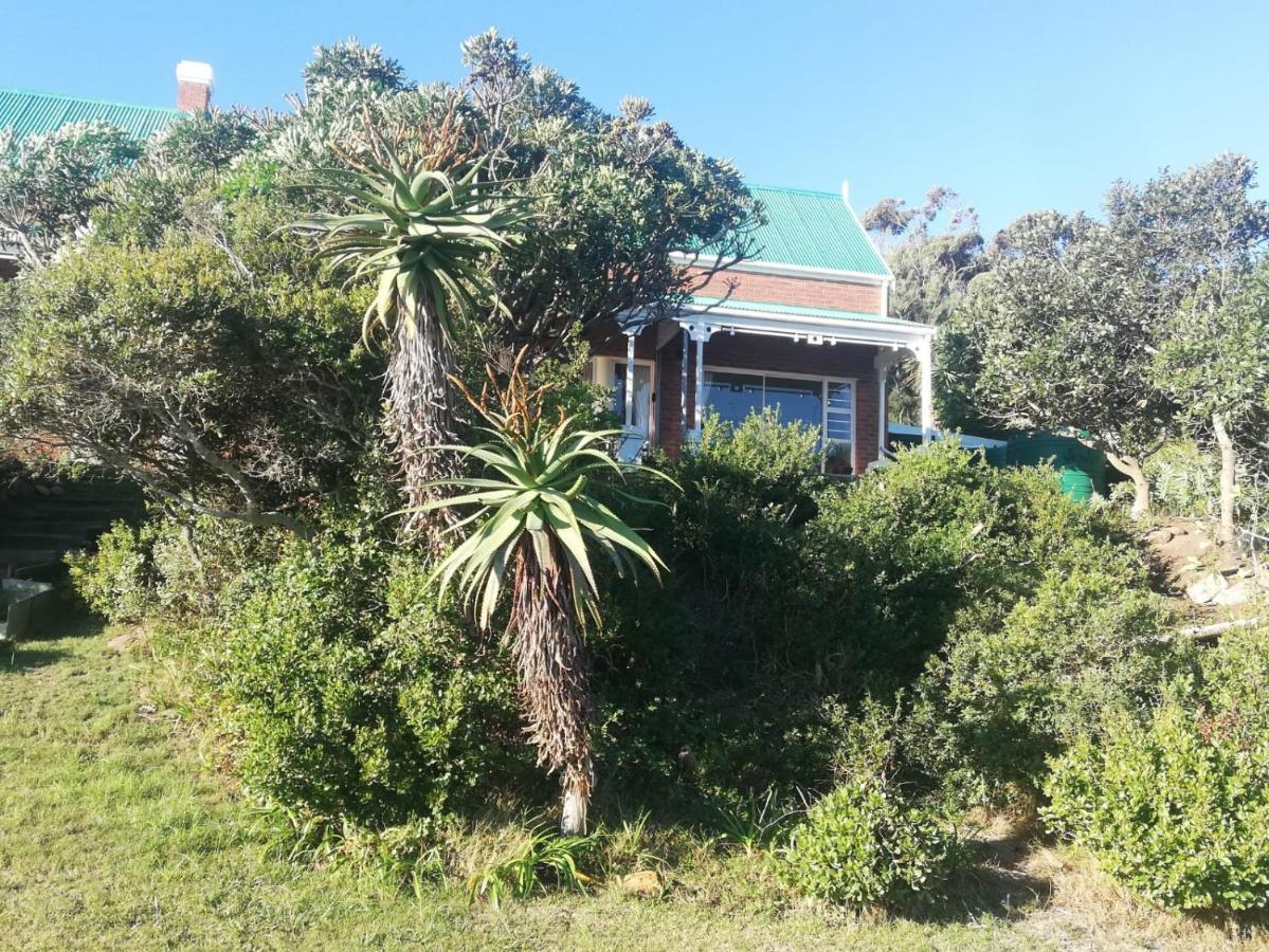 Oppikrom Rivertide 36 St Francis Bay Exterior photo